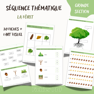 séquence thématique moyenne section thème forêt nature arbres vocabulaire graphisme dénombrement encodage art visuel