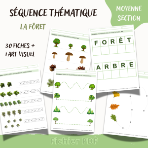 séquence thématique moyenne section thème forêt nature arbres vocabulaire graphisme dénombrement encodage art visuel